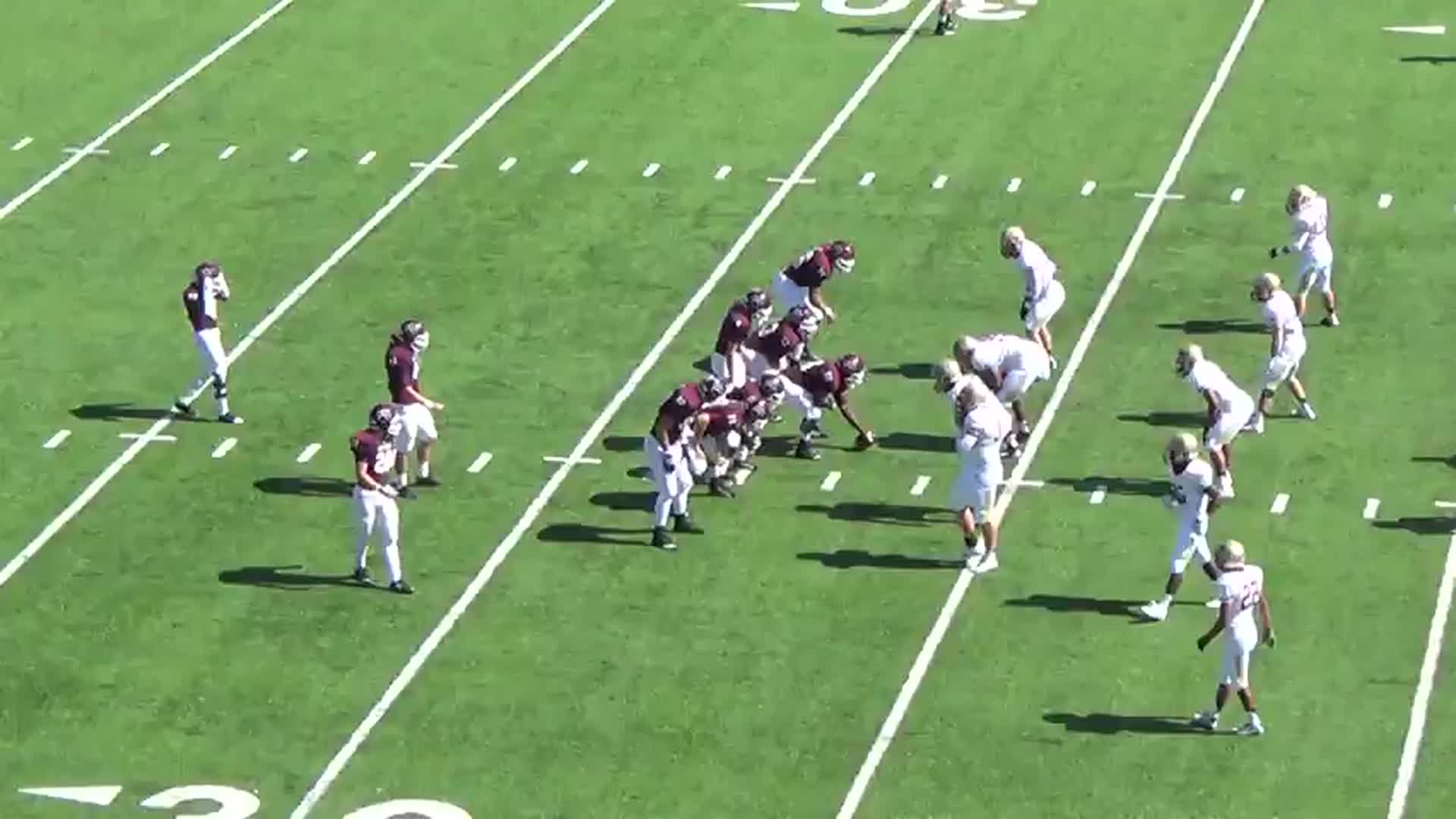 vs. Cypress Woods High - Jacorey Aleem highlights - Hudl