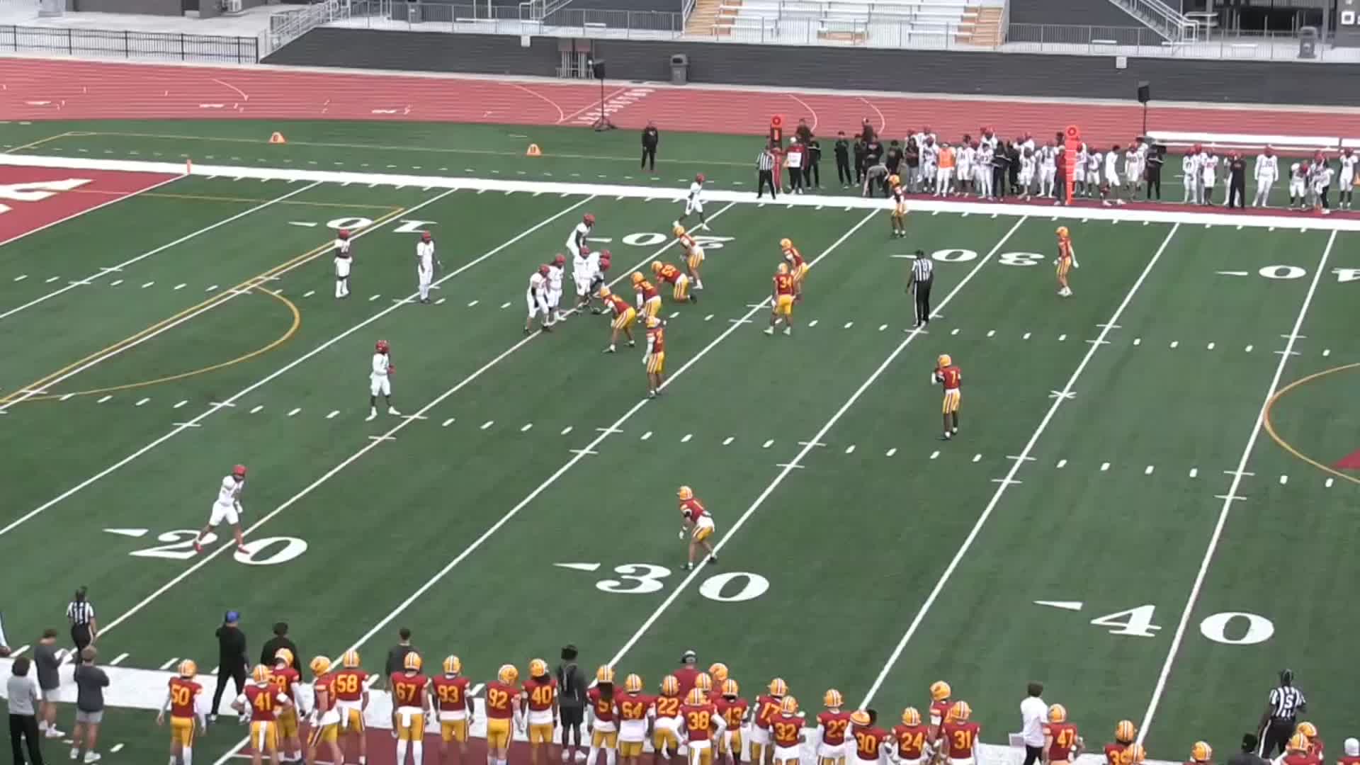 Mid-Season Highlights